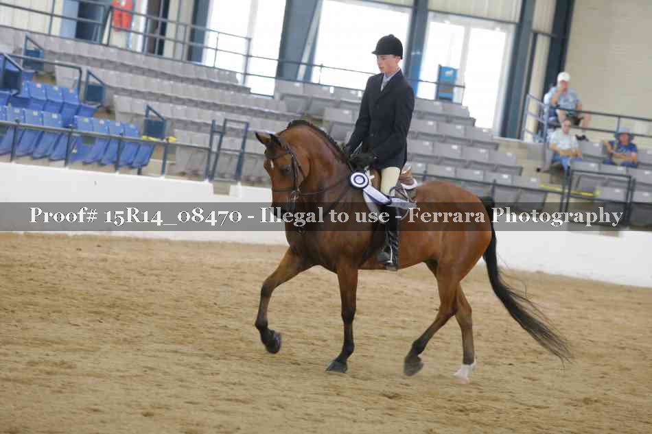 Proof Number 15R14_08470