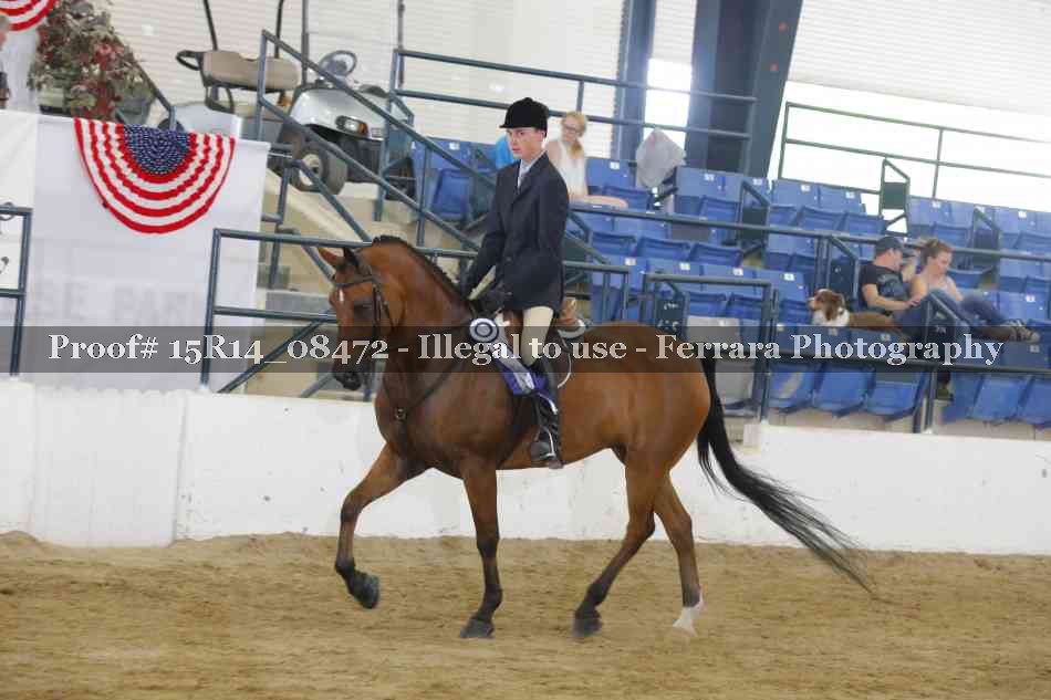 Proof Number 15R14_08472