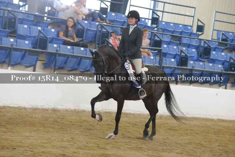 Proof Number 15R14_08479