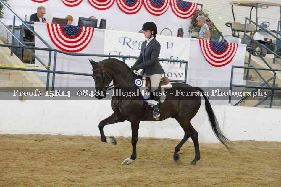 Proof Number 15R14_08481