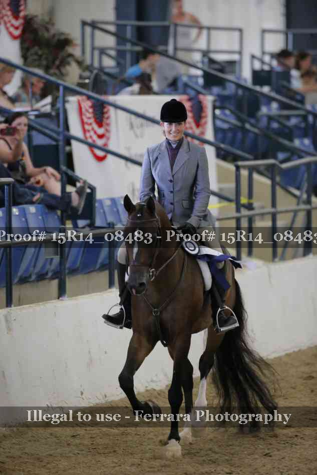 Proof Number 15R14_08483