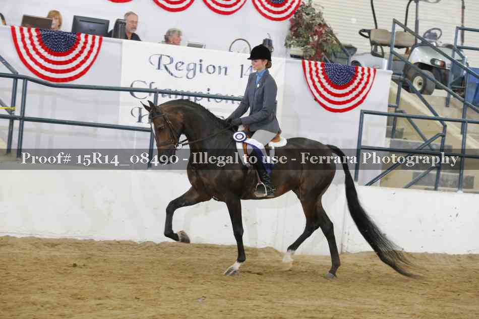Proof Number 15R14_08490