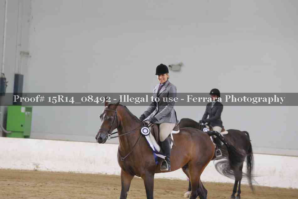 Proof Number 15R14_08492