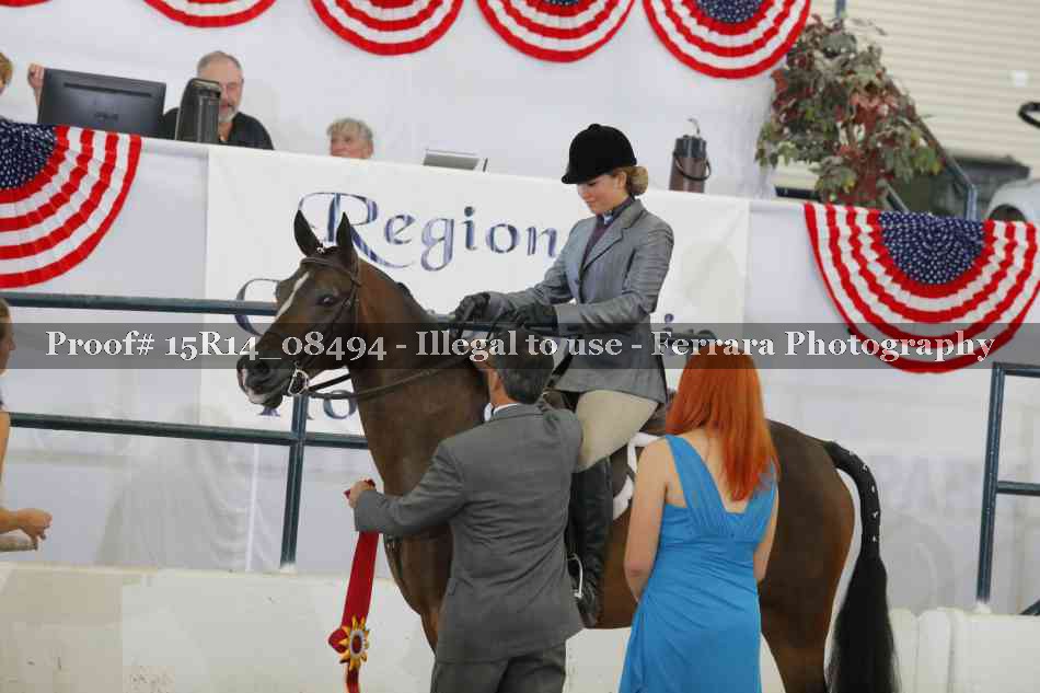 Proof Number 15R14_08494