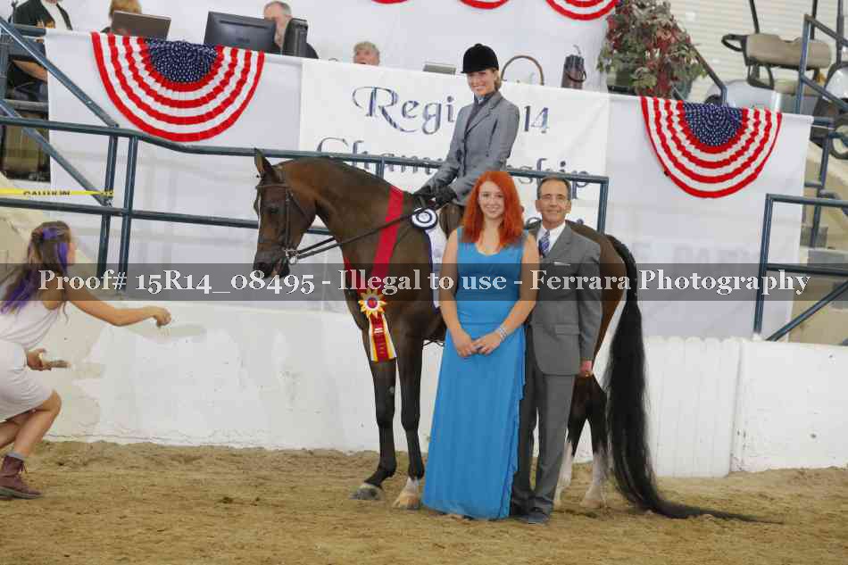 Proof Number 15R14_08495