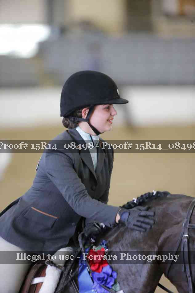 Proof Number 15R14_08498