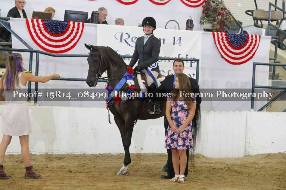 Proof Number 15R14_08499
