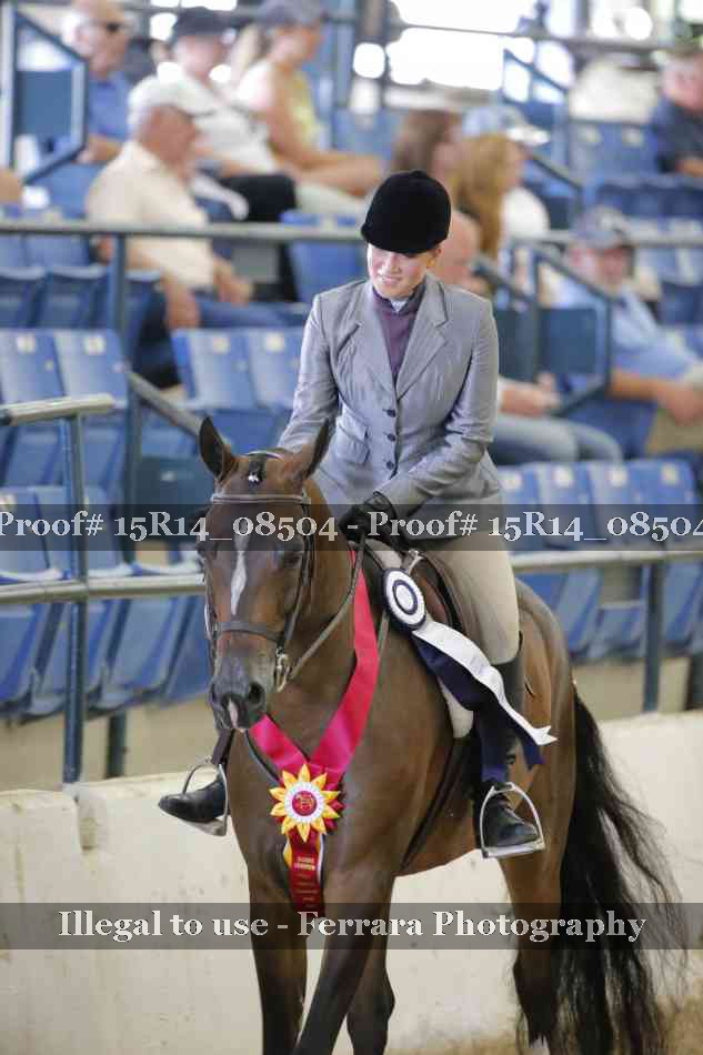 Proof Number 15R14_08504