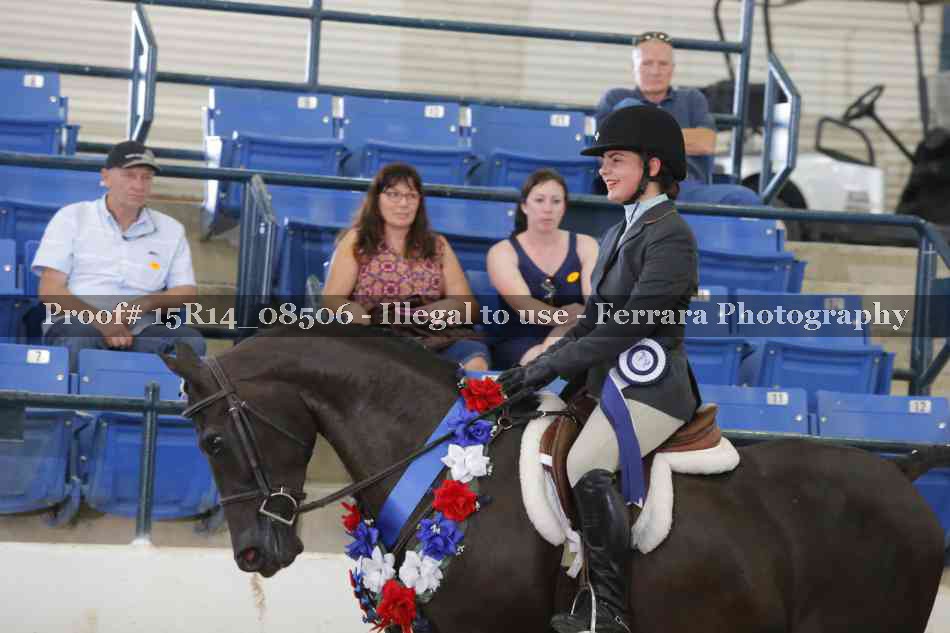 Proof Number 15R14_08506