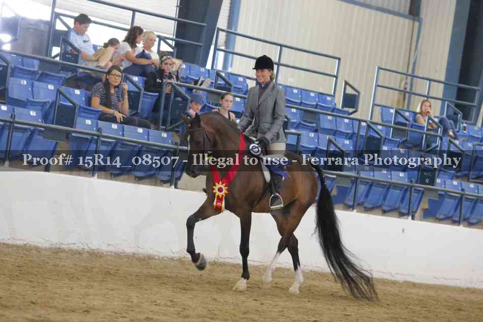 Proof Number 15R14_08507
