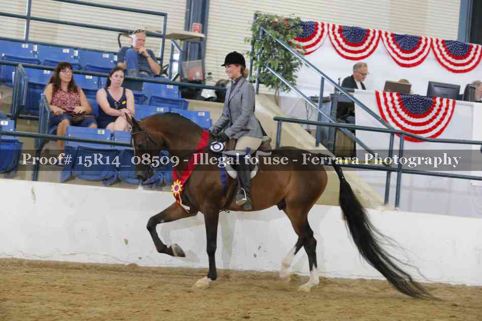 Proof Number 15R14_08509