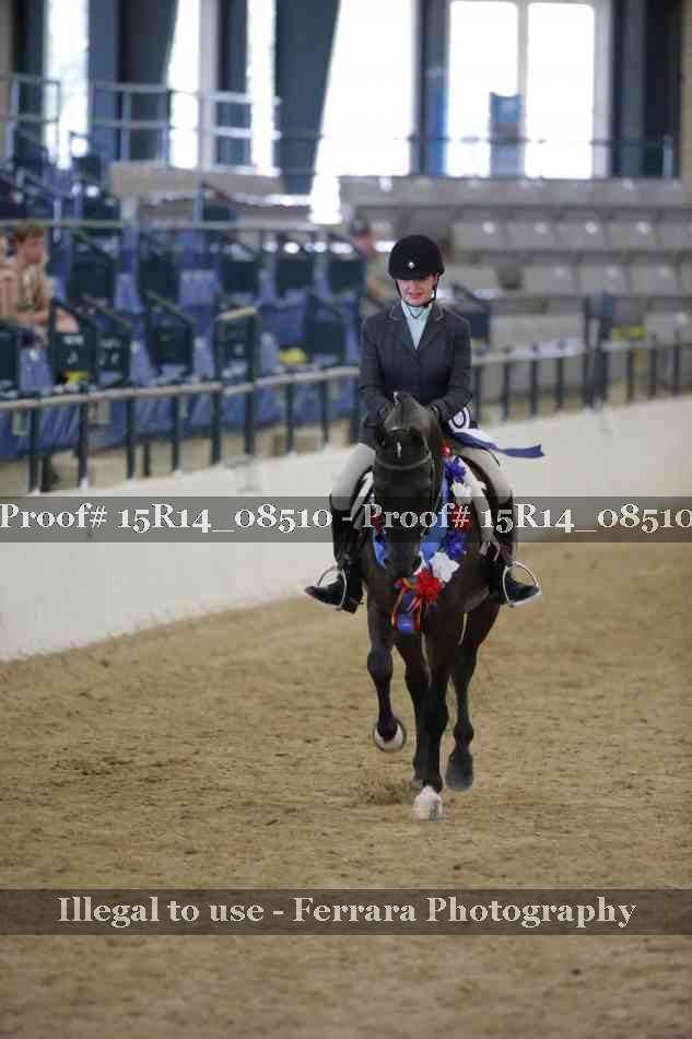 Proof Number 15R14_08510
