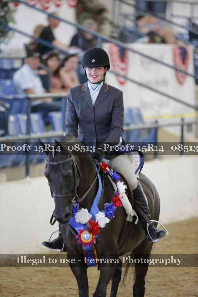 Proof Number 15R14_08513