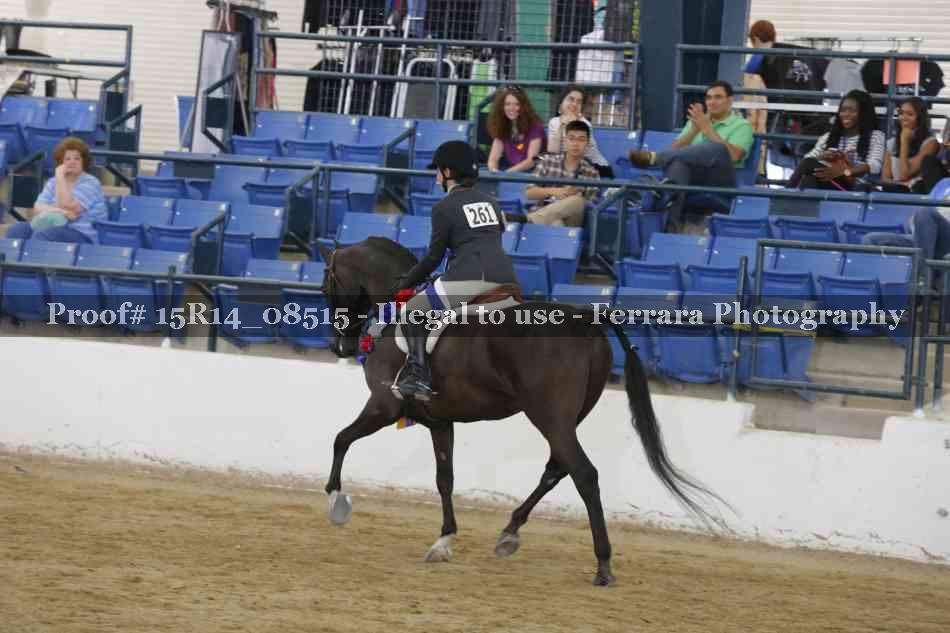 Proof Number 15R14_08515