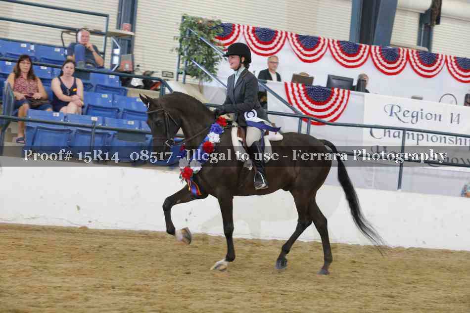 Proof Number 15R14_08517
