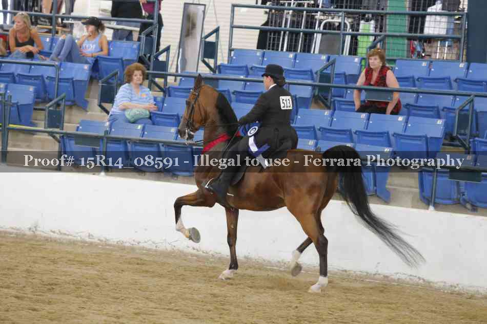 Proof Number 15R14_08591