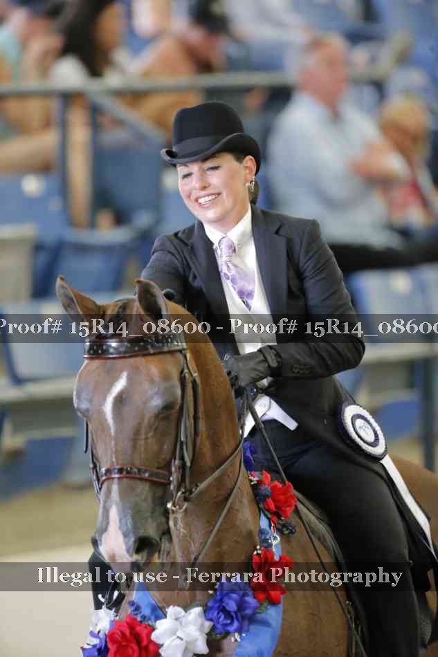 Proof Number 15R14_08600