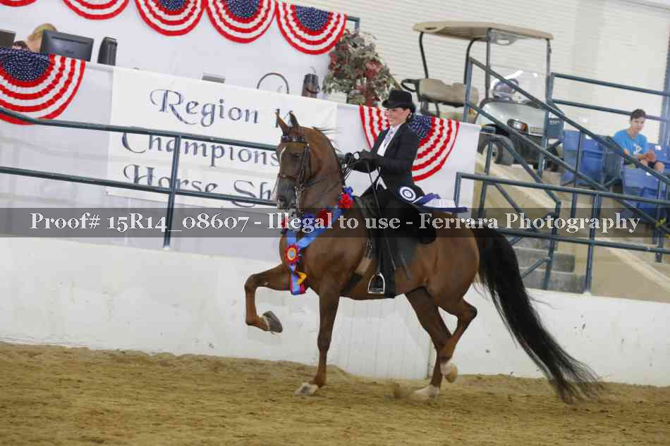 Proof Number 15R14_08607