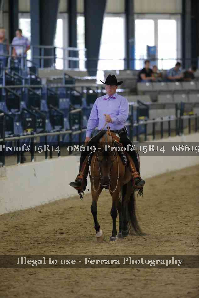 Proof Number 15R14_08619
