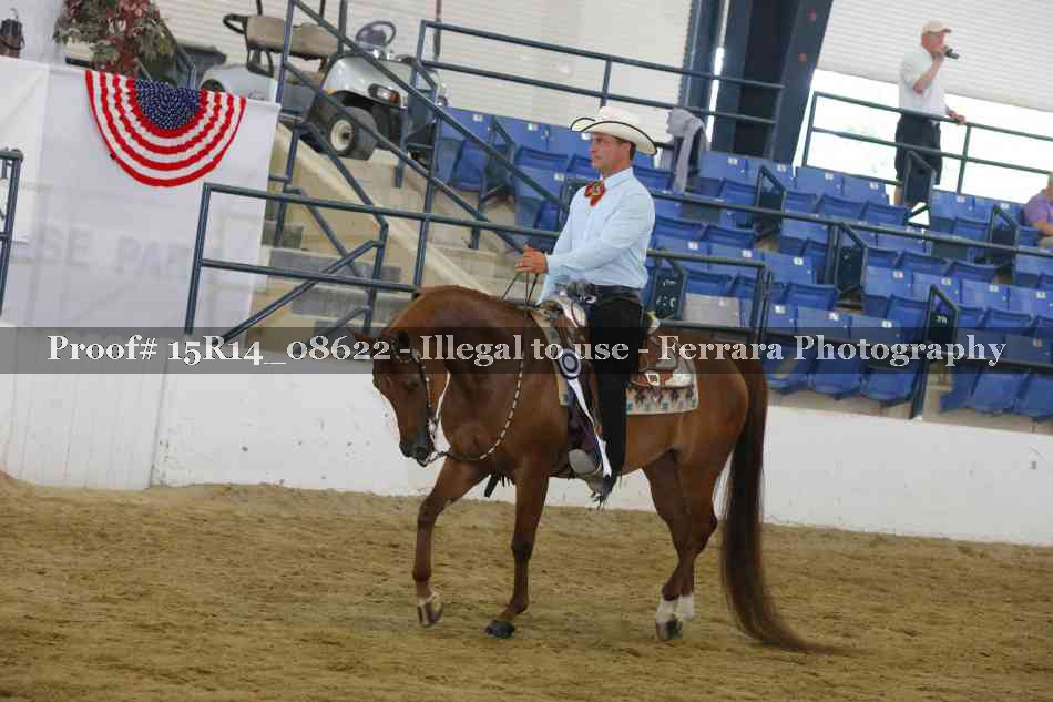 Proof Number 15R14_08622
