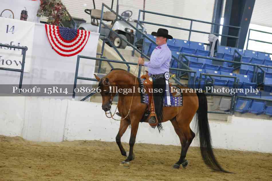 Proof Number 15R14_08626