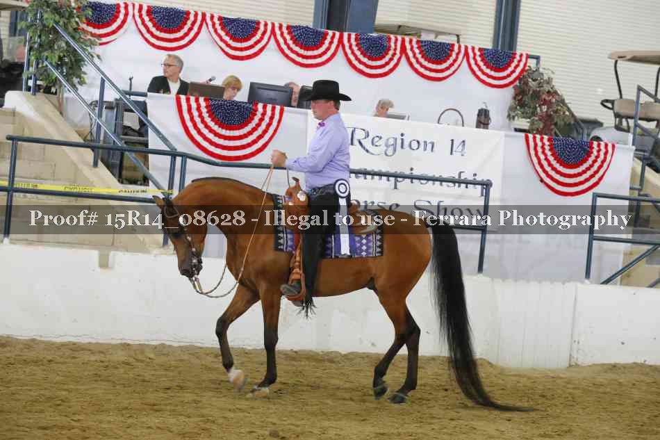 Proof Number 15R14_08628