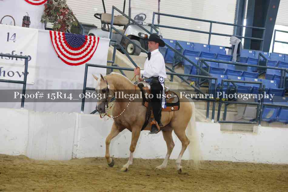 Proof Number 15R14_08631
