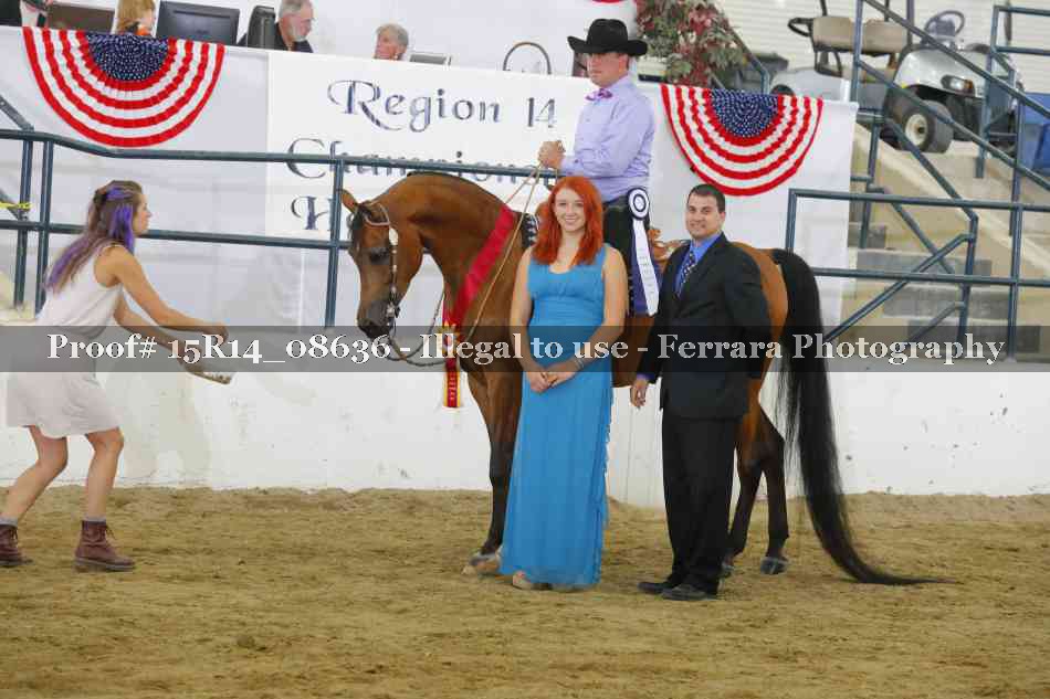 Proof Number 15R14_08636