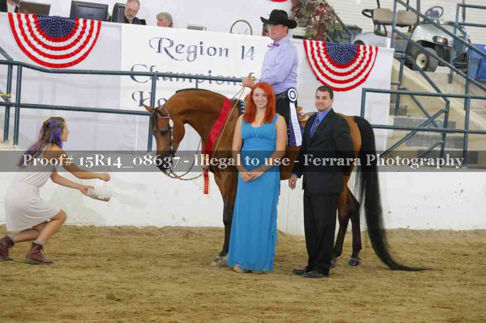 Proof Number 15R14_08637