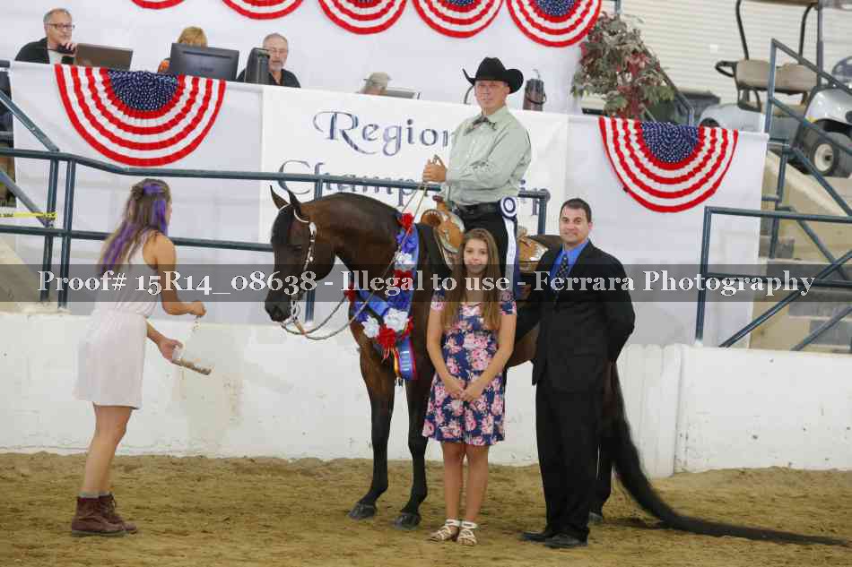 Proof Number 15R14_08638