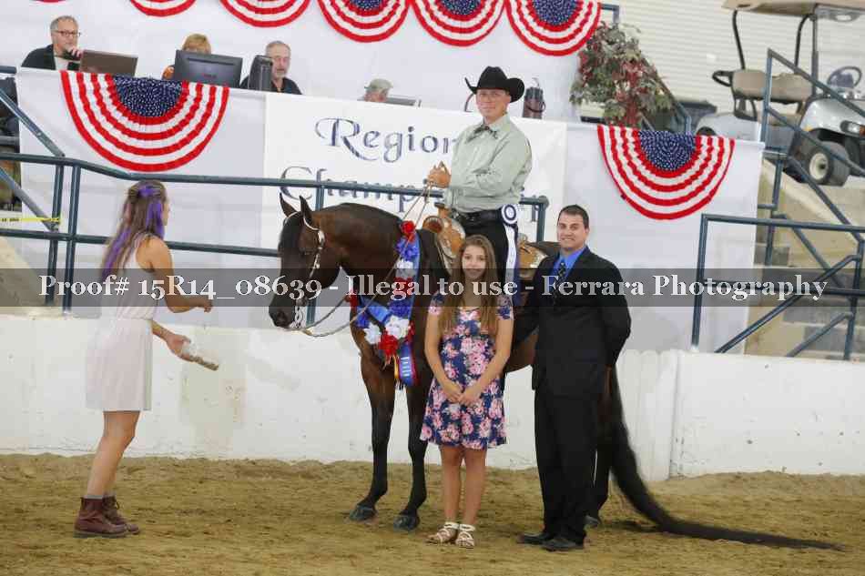 Proof Number 15R14_08639