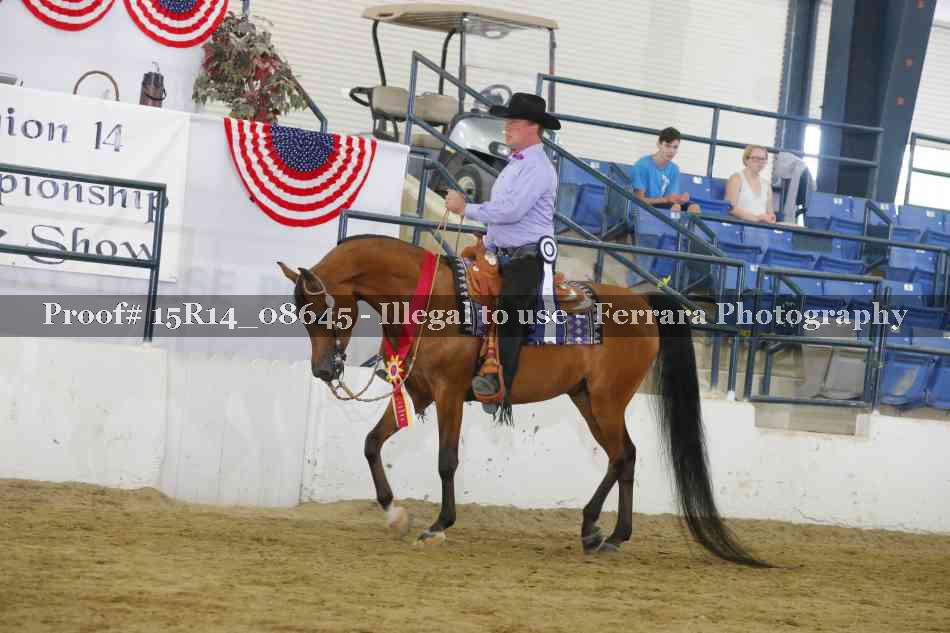Proof Number 15R14_08645