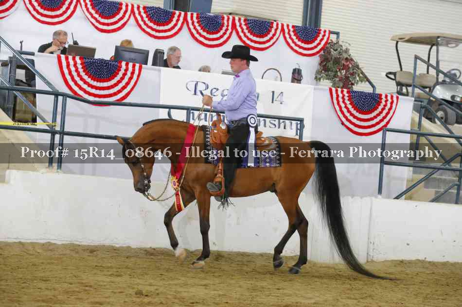 Proof Number 15R14_08646