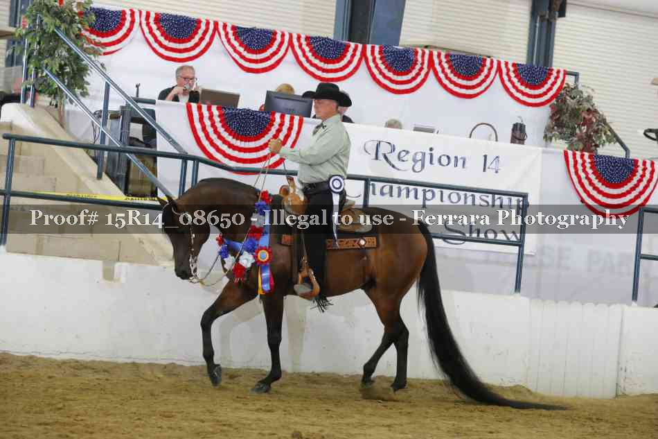 Proof Number 15R14_08650