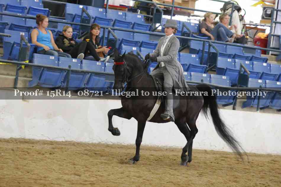 Proof Number 15R14_08721