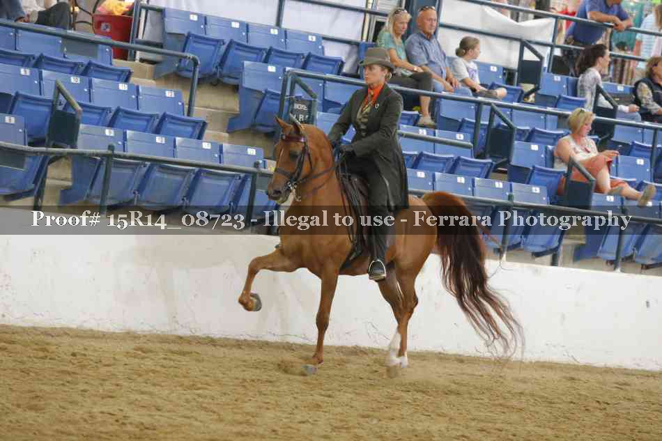Proof Number 15R14_08723