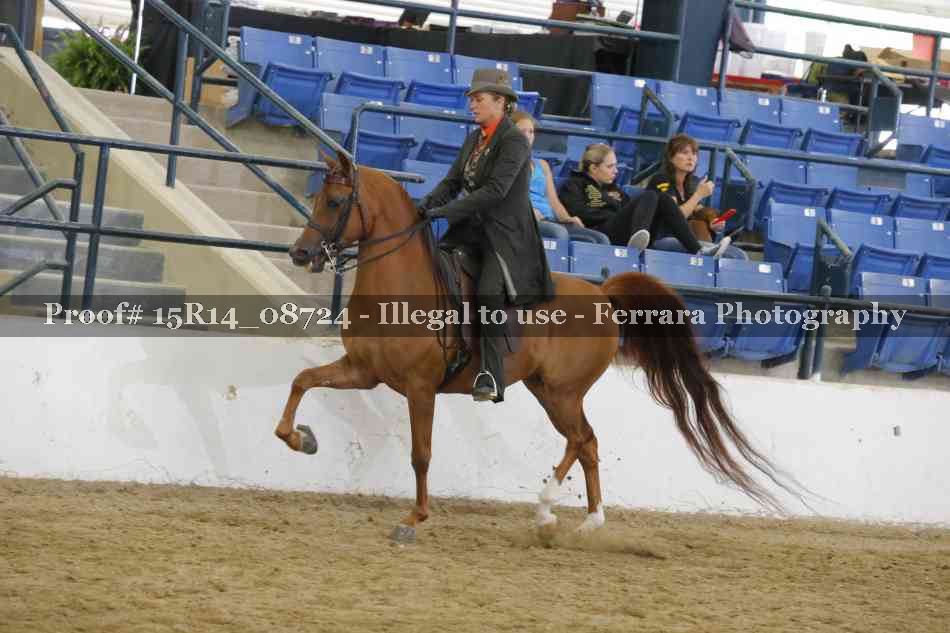 Proof Number 15R14_08724