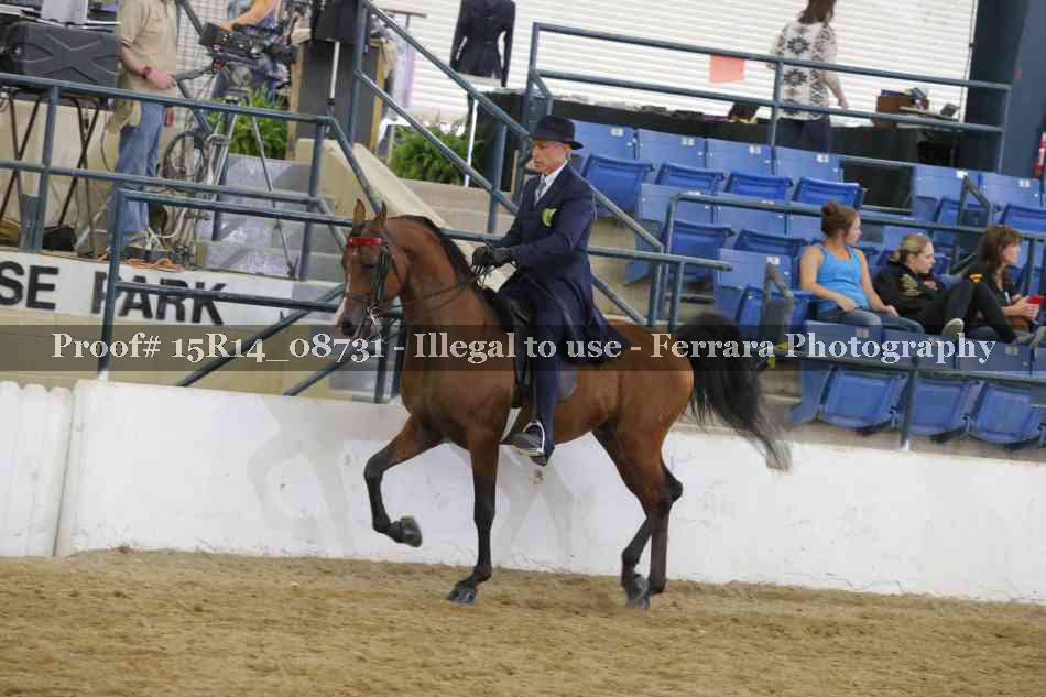 Proof Number 15R14_08731