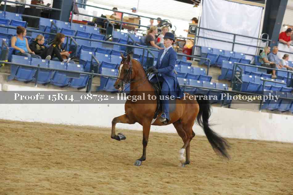 Proof Number 15R14_08732
