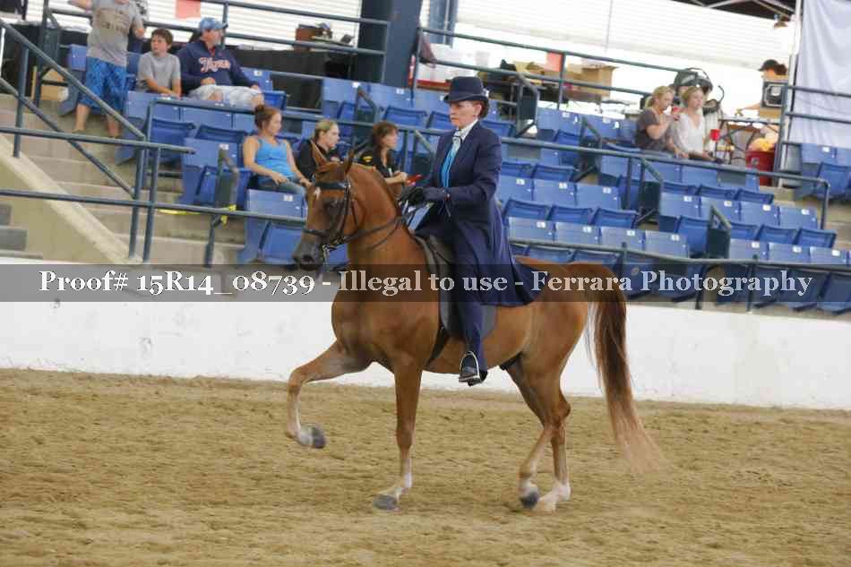 Proof Number 15R14_08739