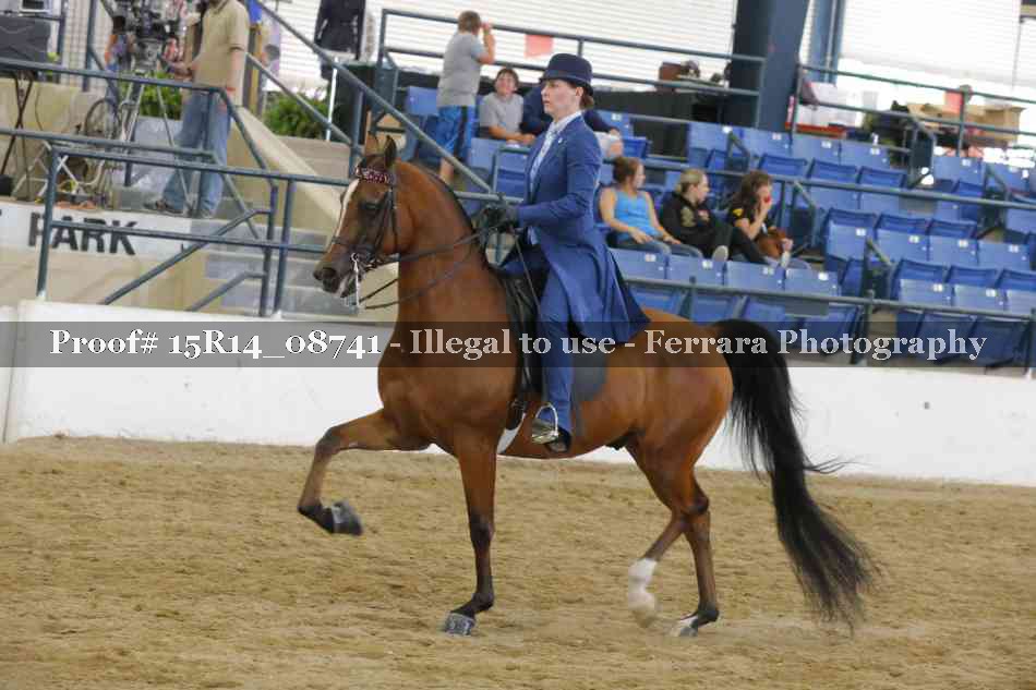 Proof Number 15R14_08741