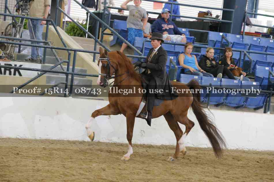 Proof Number 15R14_08743
