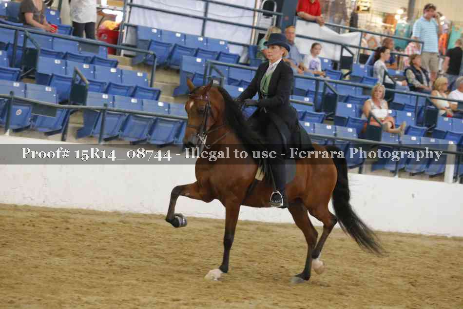 Proof Number 15R14_08744