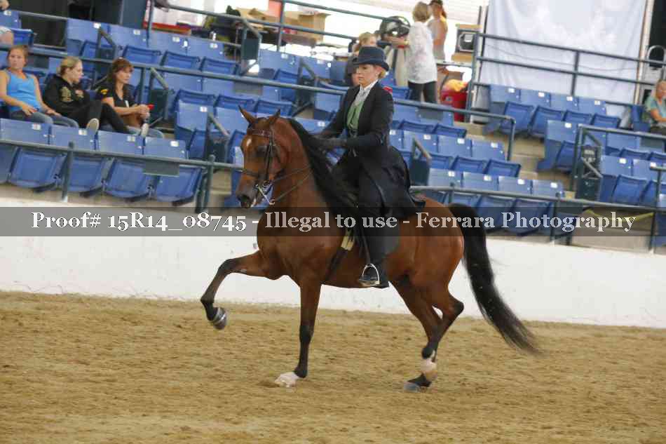 Proof Number 15R14_08745