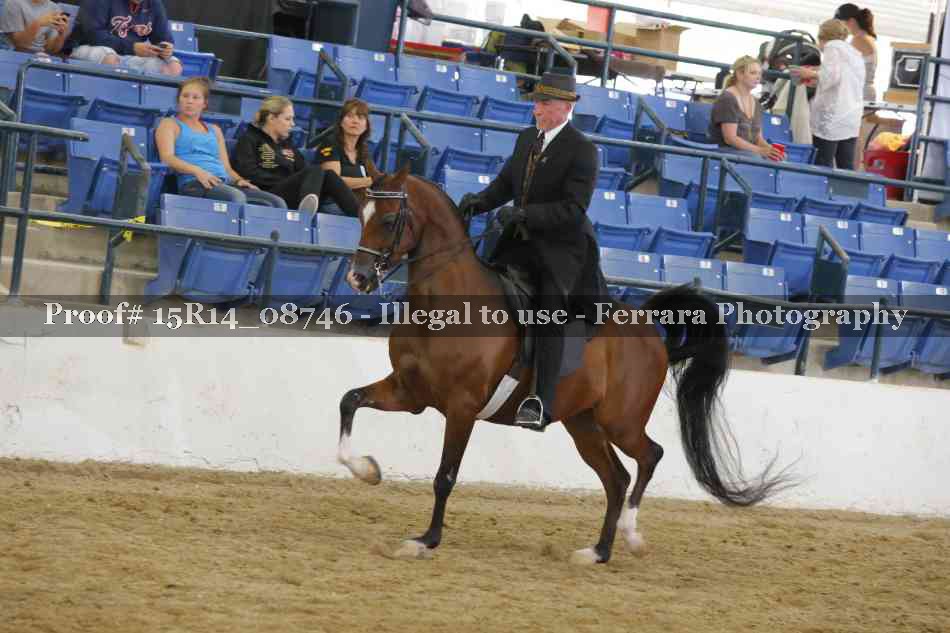 Proof Number 15R14_08746