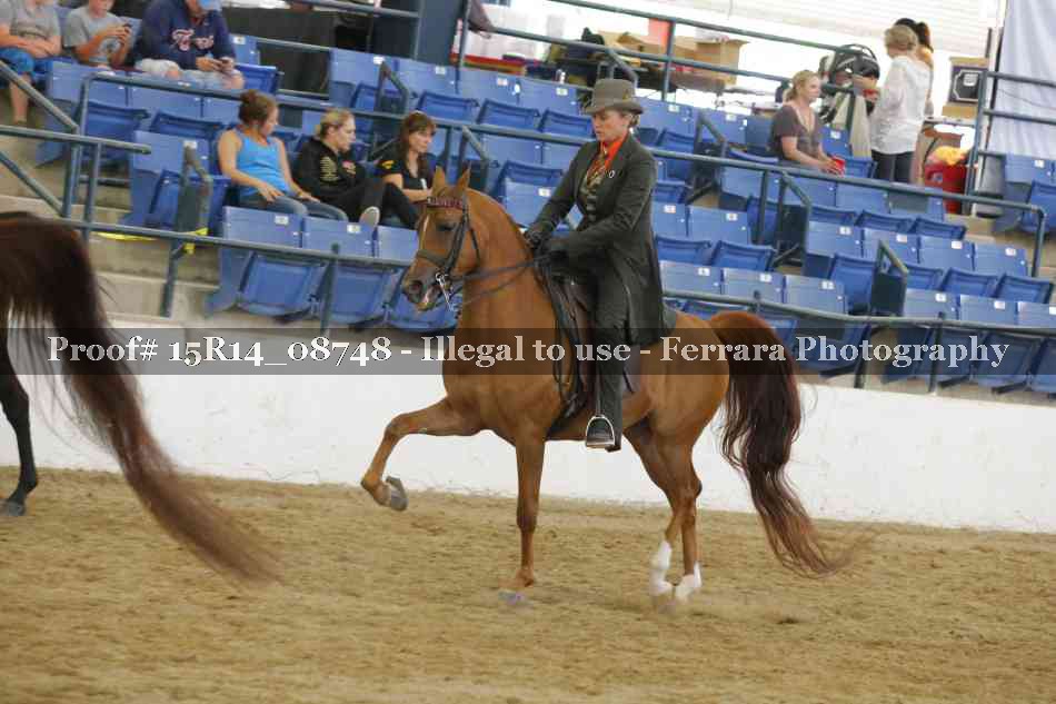Proof Number 15R14_08748
