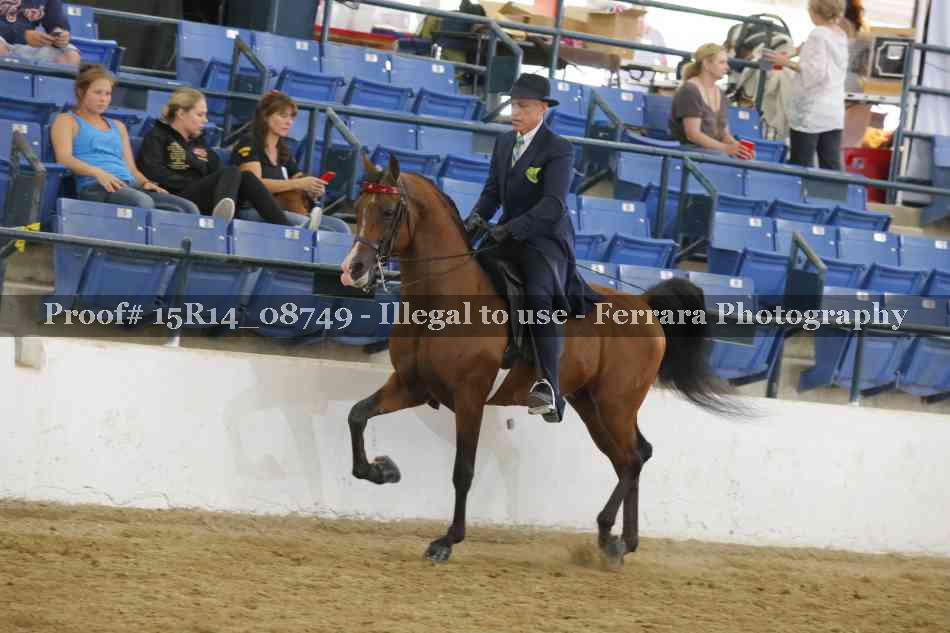 Proof Number 15R14_08749