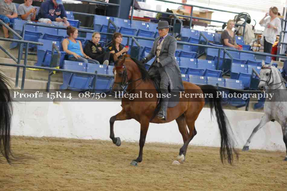 Proof Number 15R14_08750