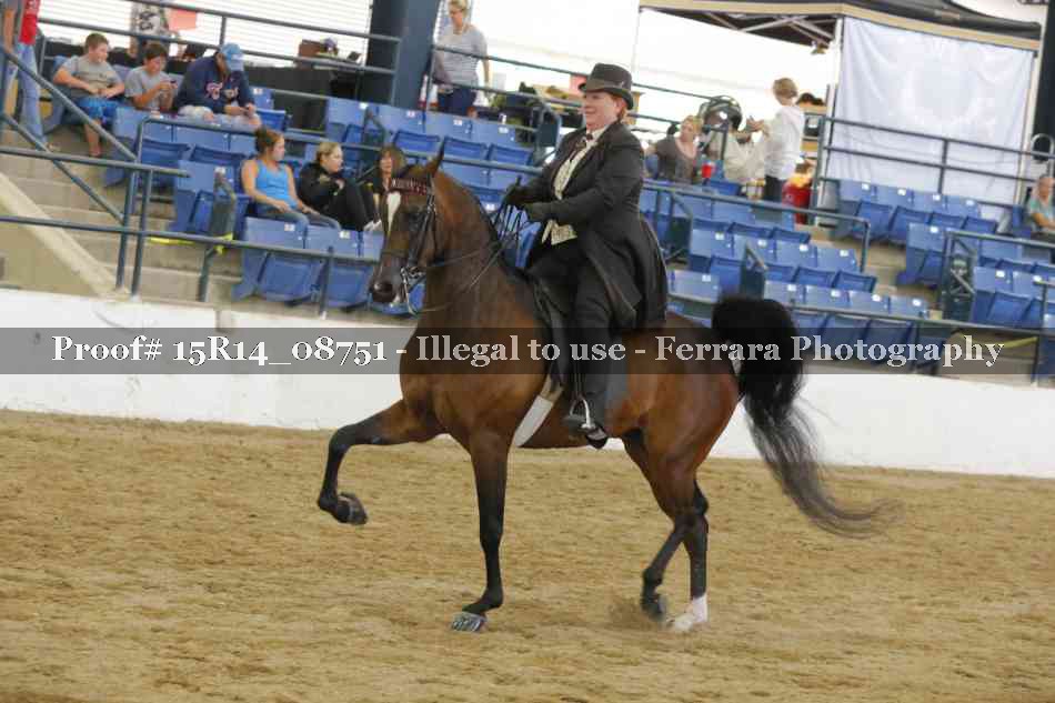 Proof Number 15R14_08751