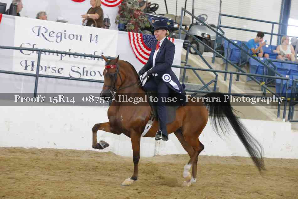 Proof Number 15R14_08757